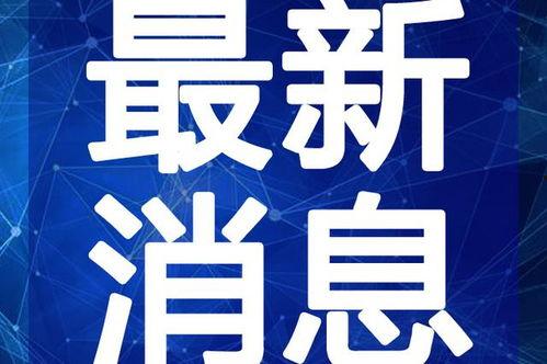 老陈最新爆料新闻视频大全,最新爆料新闻视频大全汇总