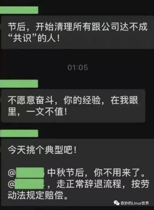 it公司最新爆料,行业变革与创新趋势全解析 第2张 it公司最新爆料,行业变革与创新趋势全解析 第2张