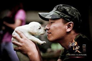 神犬奇兵在线观看,忠诚守护，勇闯天涯的军犬传奇  第3张