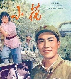 一部小花电影在线观看,穿越时光的青春记忆  第3张