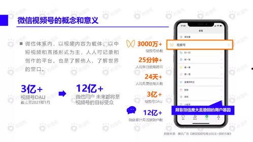 文安网友爆料视频大全下载,精彩瞬间一网打尽  第3张